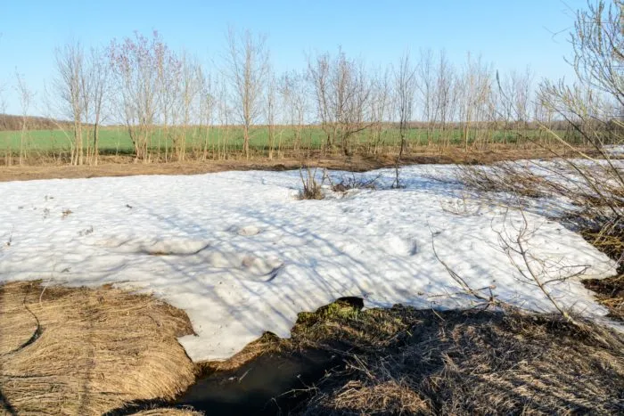 талая вода впитывается в землю весной в саду