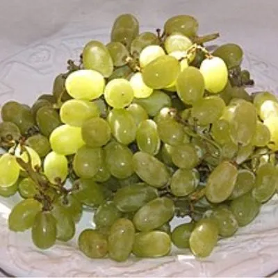 tompson-sultana-6-232874