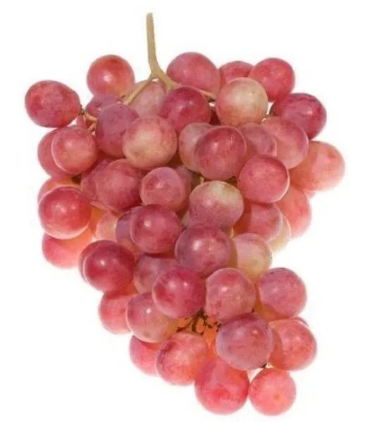 tsvet-sakury-3-236163