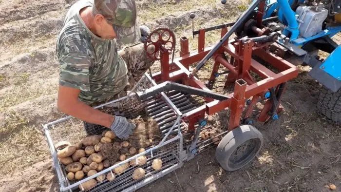 мотоблок с картофелекопалкой