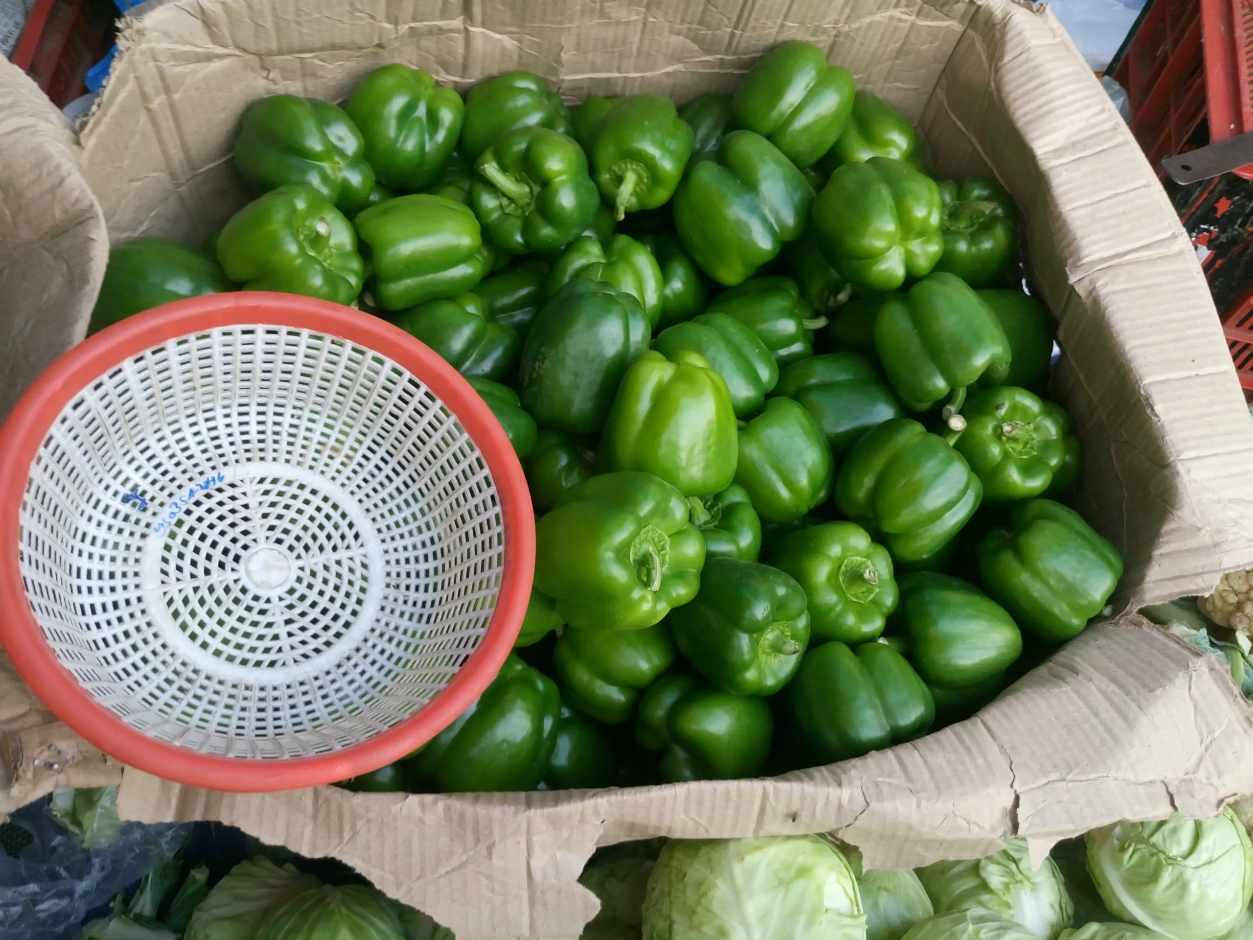 сбор зеленого перца в корзину