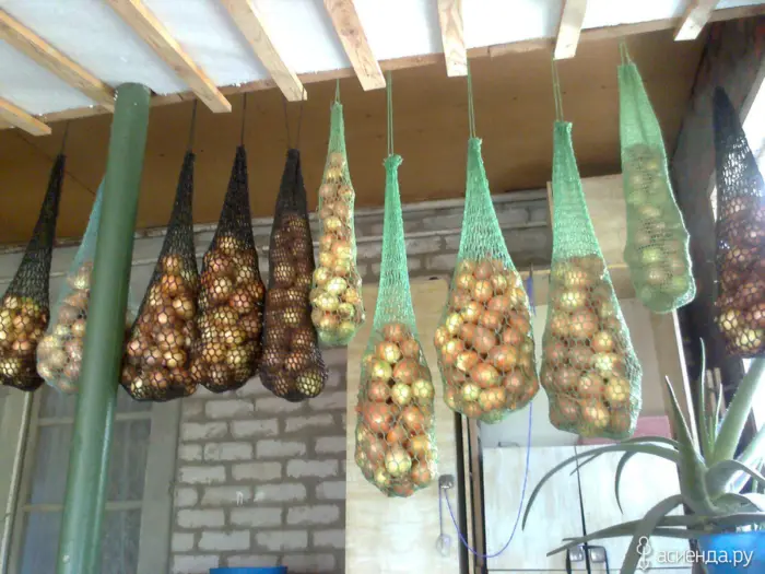 лук в сетках для хранения