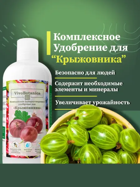 внесение гранул удобрения под куст крыжовника