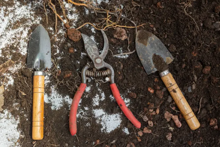садовые инструменты на земле