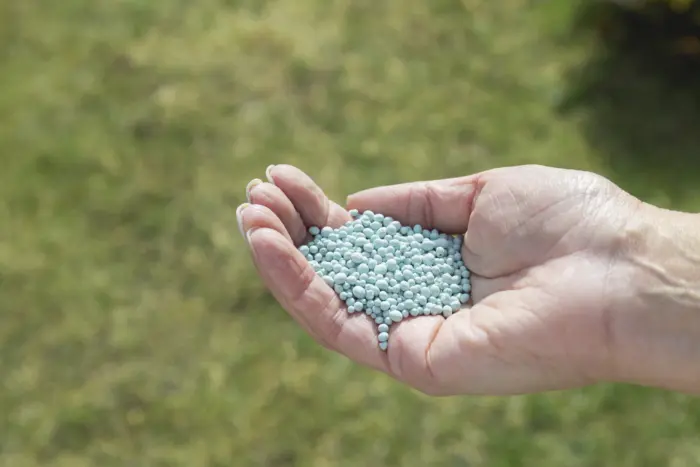 гранулы удобрения в руке