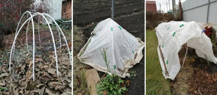 каркас для укрытия клематисов на зиму