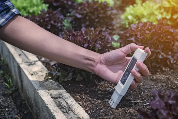 садовод проверяет температуру