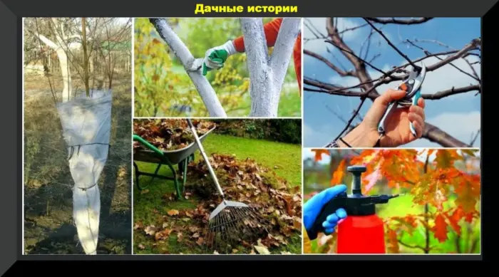 осенняя обработка саженца