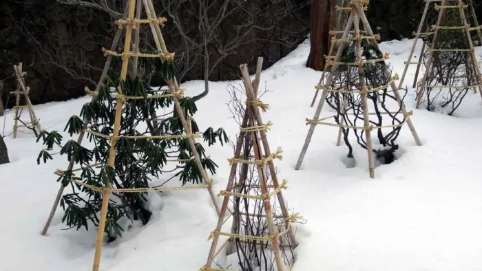 каркасное укрытие для дерева