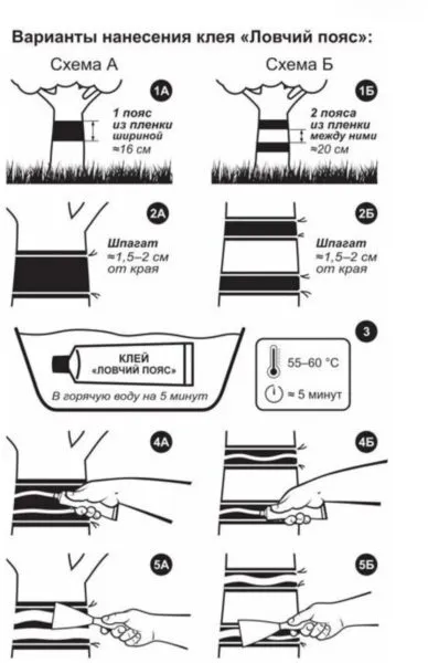 проверка ловчего пояса