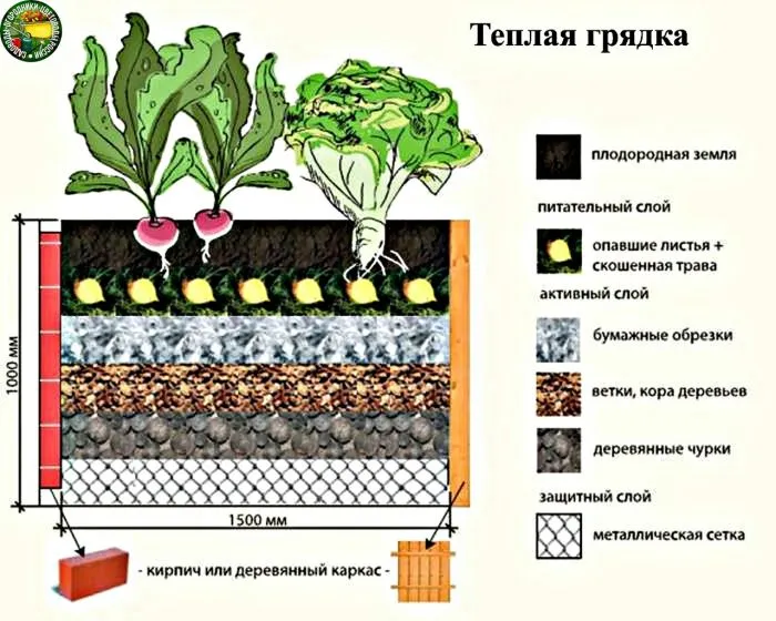 Теплая грядка схема