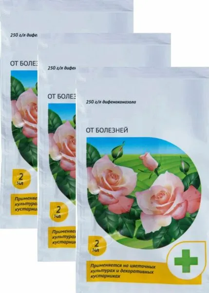препараты для обработки кустов роз от болезней
