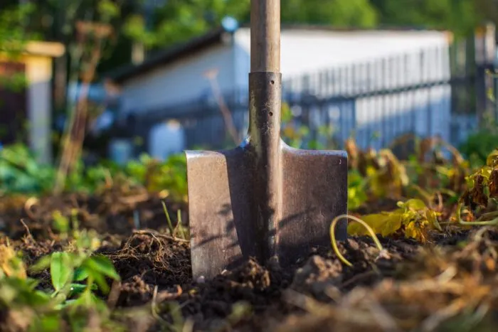 копка ямки лопатой в саду