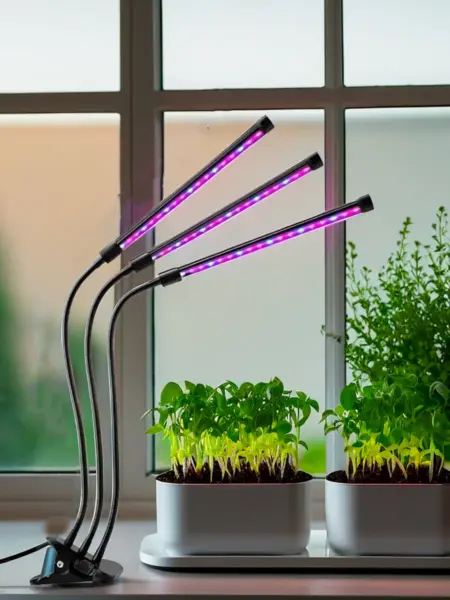 фитолампа над зеленью на окне зеленый лук