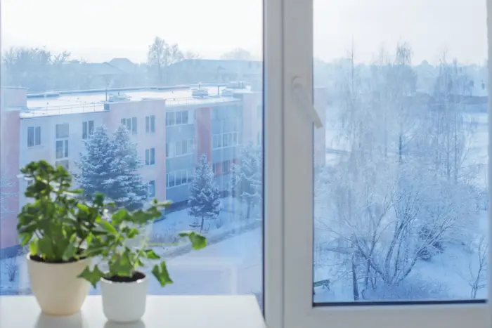 чистое окно зимой