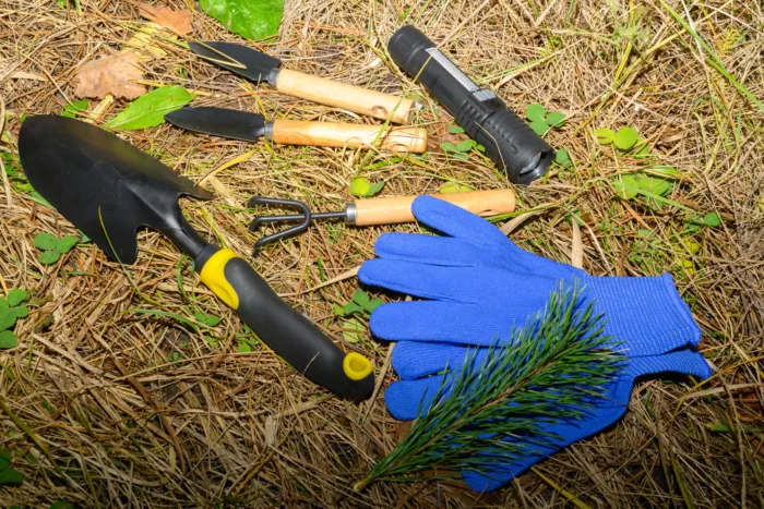 садовые инструменты на земле