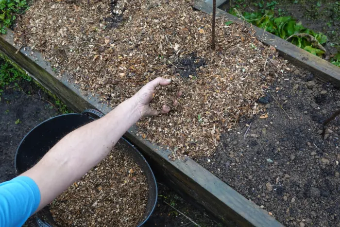 внесение компоста в грядку