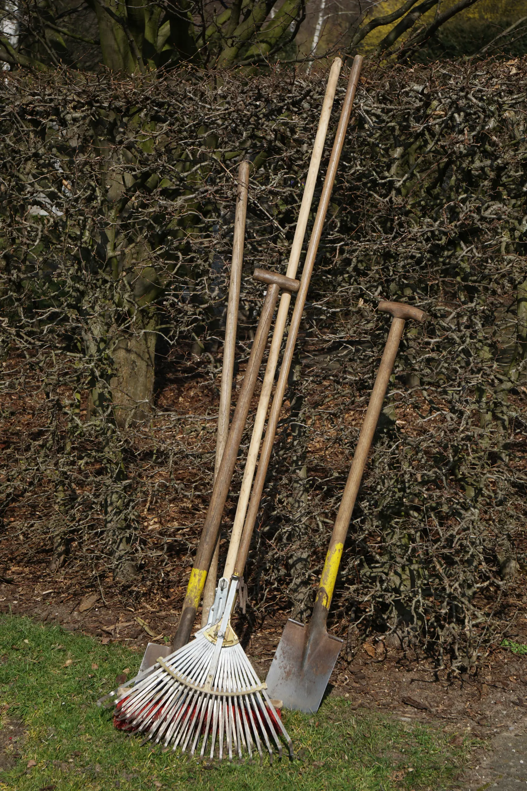 вилы или лопата для перемешивания и укладки, садовые грабли для сбора листьев, секатор или садовый измельчитель для дробления крупных отходов. Также стоит иметь под рукой лейку или шланг для увлажнения