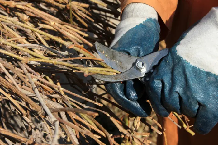 измельчение веток секатором