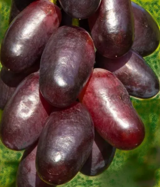 zhuravlenok-2-226366