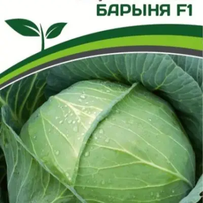 barynya-3-269487