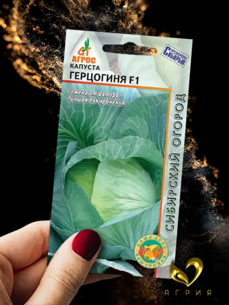 gertsoginya-2-268949