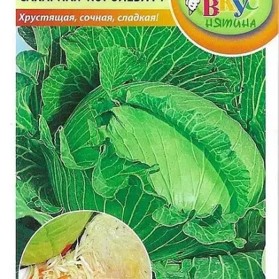 saharnaya-koroleva-2-269368