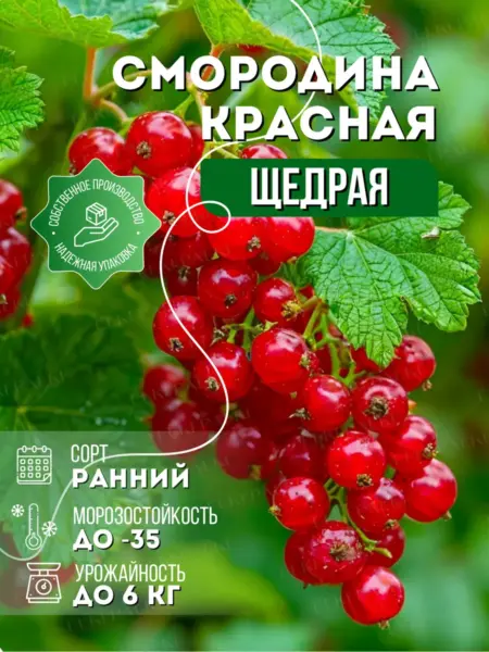 schedraya-2-260766