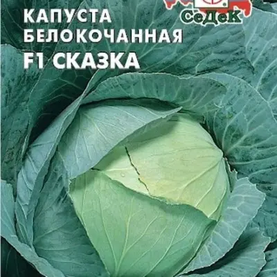 skazka-1-267464
