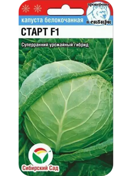 start-1-267161