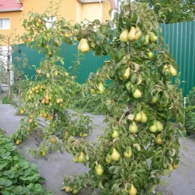 striyskaya-5-251446