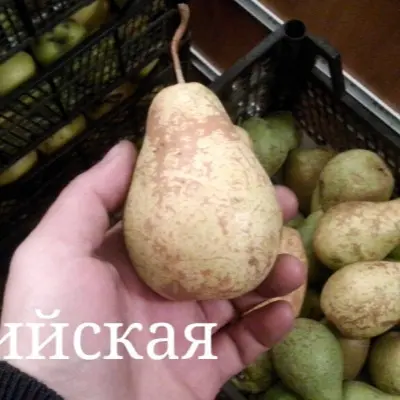 striyskaya-7-251446