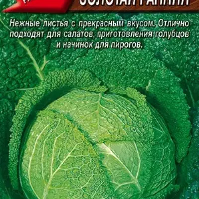 zolotaya-rannyaya-6-267329