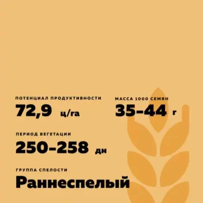 alena-7-285412