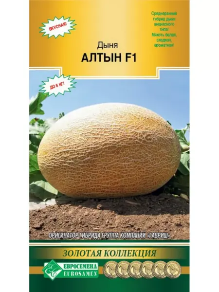 altyn-4-293716