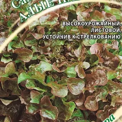 alye-parusa-main-290583