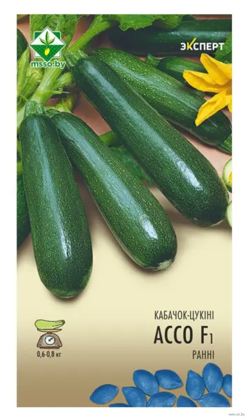 asso-3-275747