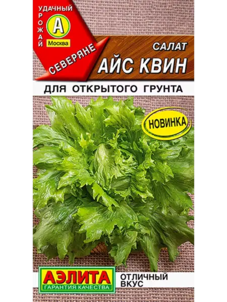 ays-kvin-1-290565