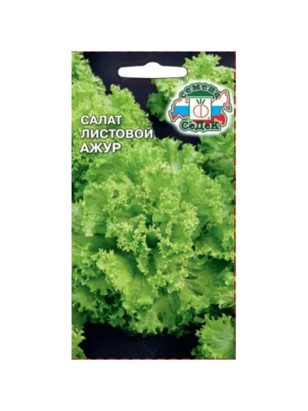 azhur-1-289339