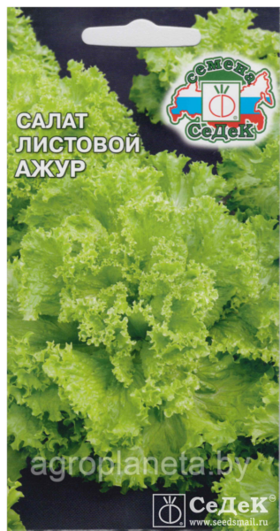 azhur-2-289339