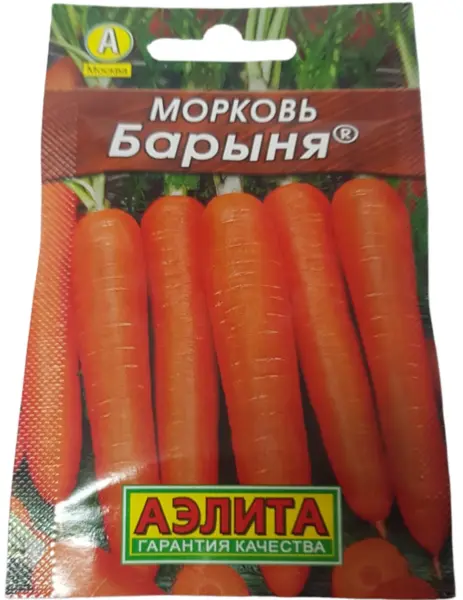barynya-1-273218