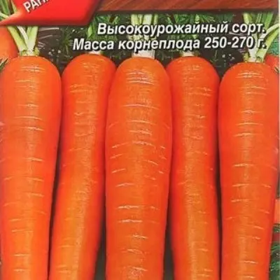 barynya-3-273218