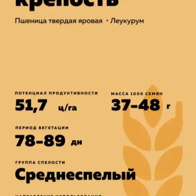 bezenchukskaya-krepost-5-284796