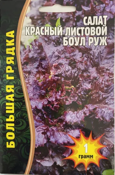 boul-ruzh-1-290517