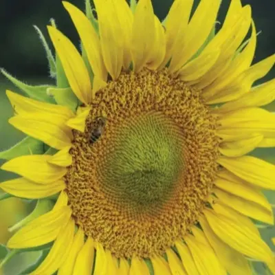bravo-main-287040