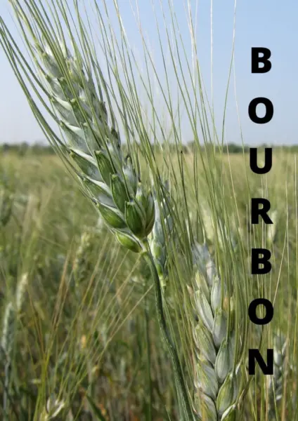 burbon-2-286427