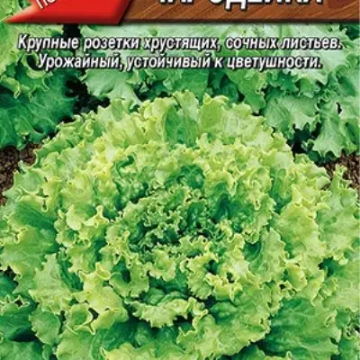 charodeyka-main-289999