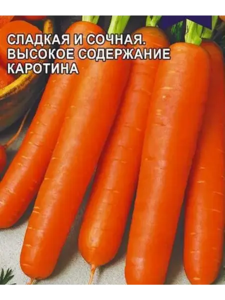 devochka-pripevochka-1-273979