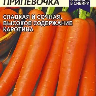 devochka-pripevochka-2-273979