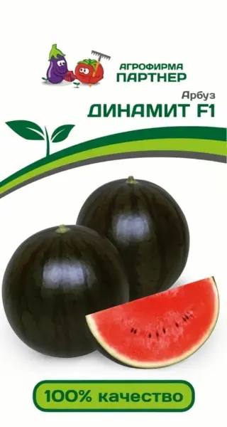 dinamit-1-279728